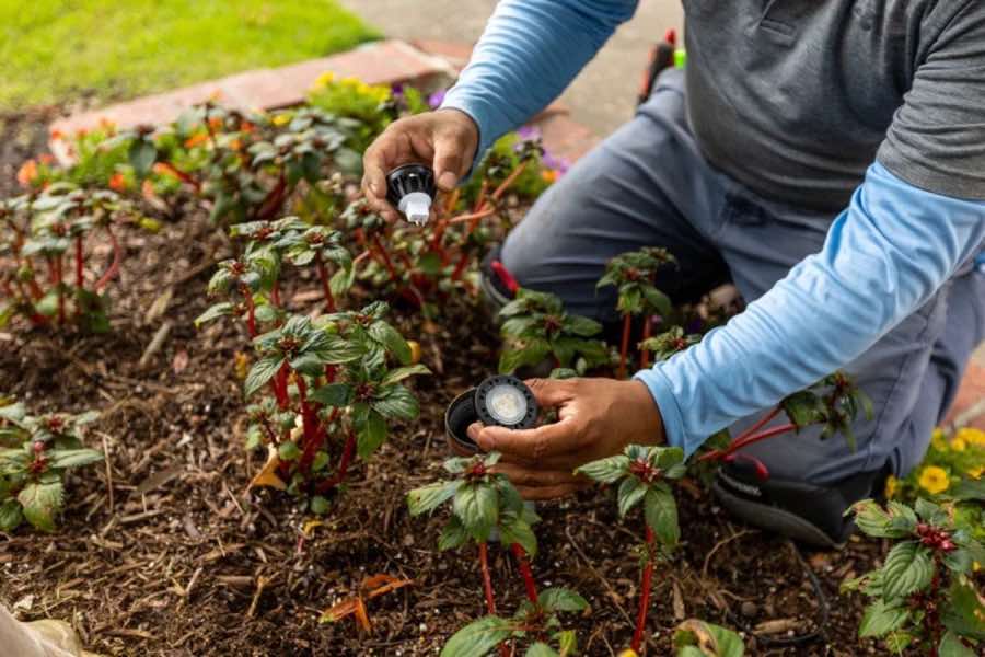 {SERVICE_NAME} project in Dallas